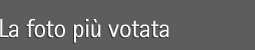 La foto pi� votata